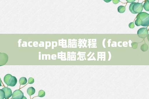 faceapp电脑教程（facetime电脑怎么用）