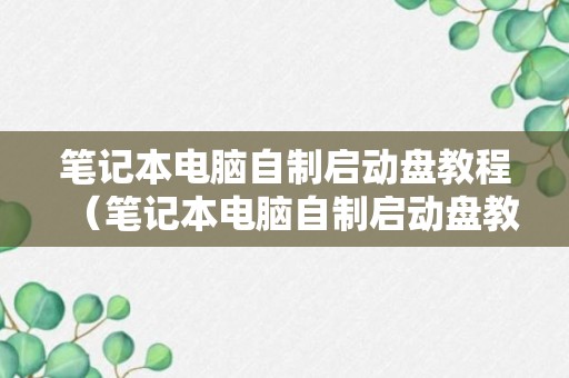 笔记本电脑自制启动盘教程（笔记本电脑自制启动盘教程视频）