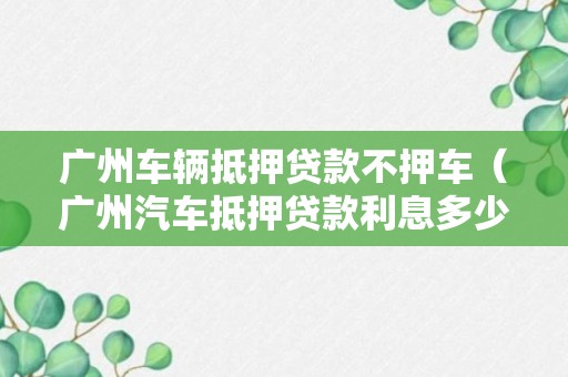 广州车辆抵押贷款不押车（广州汽车抵押贷款利息多少钱）