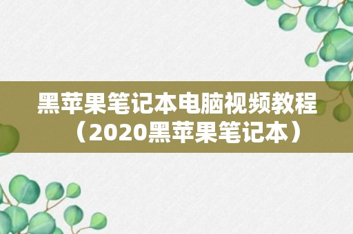 黑苹果笔记本电脑视频教程（2020黑苹果笔记本）