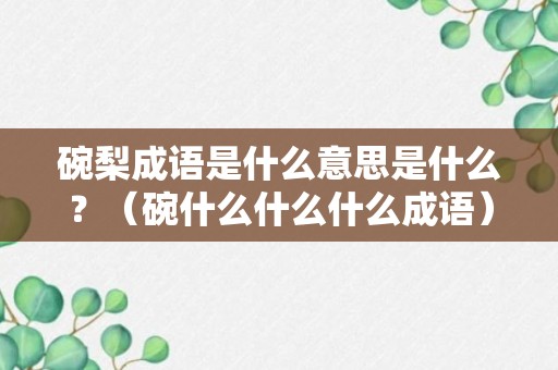 碗梨成语是什么意思是什么？（碗什么什么什么成语）