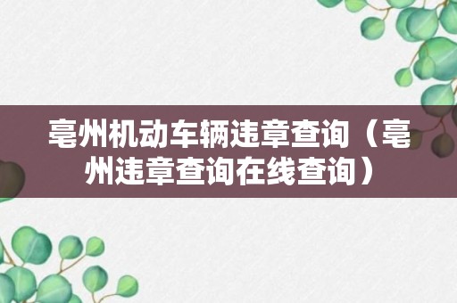 亳州机动车辆违章查询（亳州违章查询在线查询）