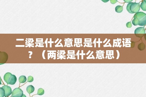 二梁是什么意思是什么成语？（两梁是什么意思）