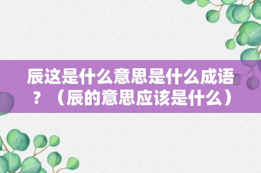 辰这是什么意思是什么成语？（辰的意思应该是什么）