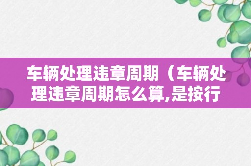 车辆处理违章周期（车辆处理违章周期怎么算,是按行车证的领证时间吗）