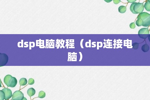 dsp电脑教程（dsp连接电脑）