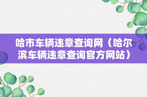 哈市车辆违章查询网（哈尔滨车辆违章查询官方网站）