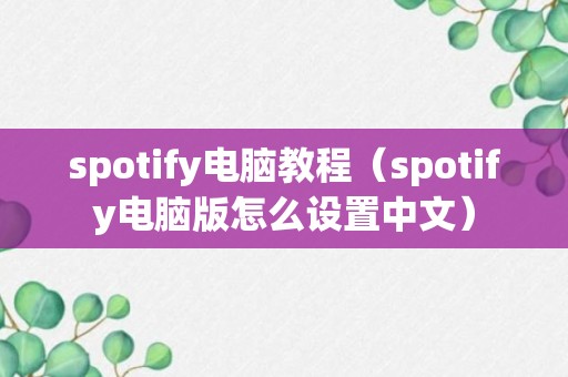 spotify电脑教程（spotify电脑版怎么设置中文）