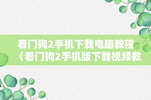 看门狗2手机下载电脑教程（看门狗2手机版下载视频教程）