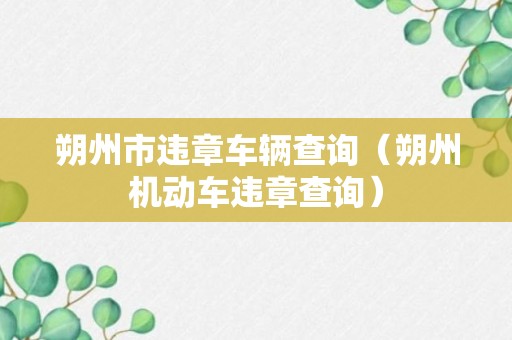 朔州市违章车辆查询（朔州机动车违章查询）