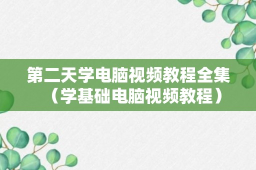 第二天学电脑视频教程全集（学基础电脑视频教程）