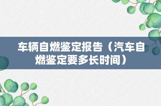 车辆自燃鉴定报告（汽车自燃鉴定要多长时间）