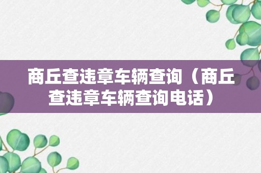 商丘查违章车辆查询（商丘查违章车辆查询电话）