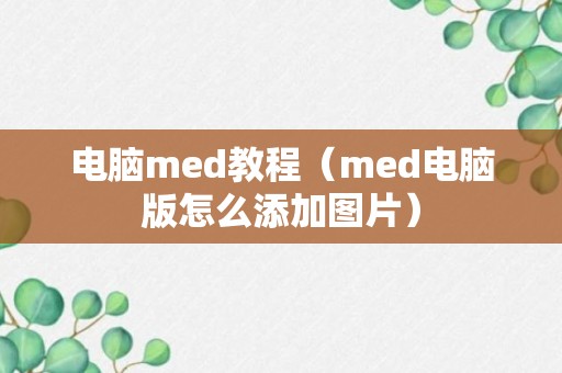 电脑med教程（med电脑版怎么添加图片）