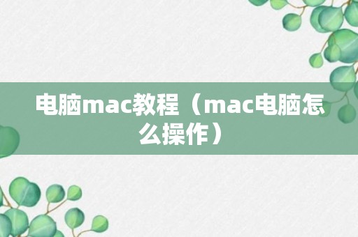 电脑mac教程（mac电脑怎么操作）