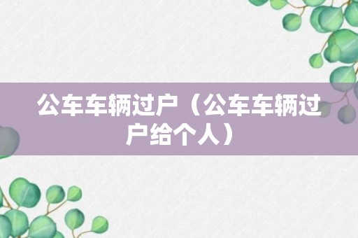 公车车辆过户（公车车辆过户给个人）