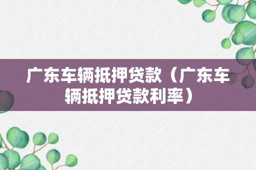 广东车辆抵押贷款（广东车辆抵押贷款利率）