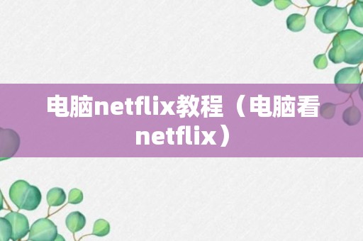 电脑netflix教程（电脑看netflix）