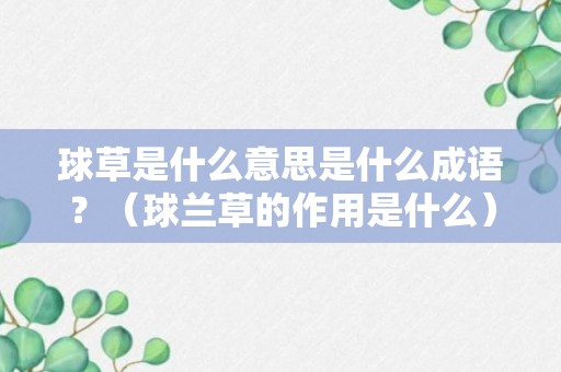 球草是什么意思是什么成语？（球兰草的作用是什么）