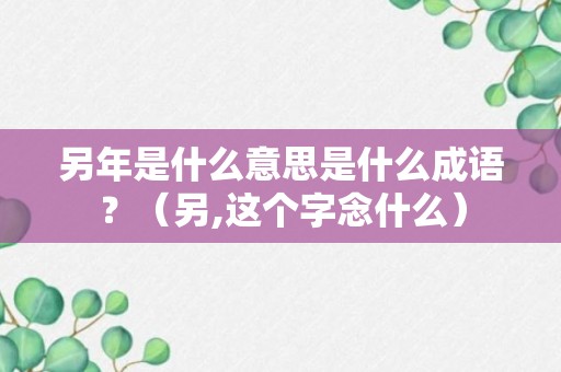 另年是什么意思是什么成语？（另,这个字念什么）