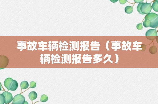 事故车辆检测报告（事故车辆检测报告多久）