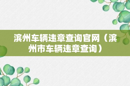 滨州车辆违章查询官网（滨州市车辆违章查询）