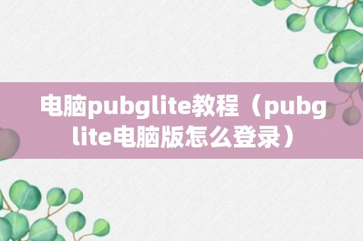 电脑pubglite教程（pubglite电脑版怎么登录）