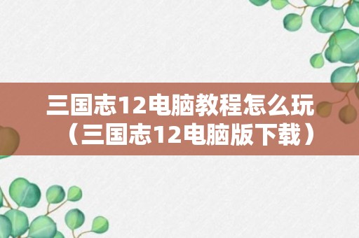 三国志12电脑教程怎么玩（三国志12电脑版下载）