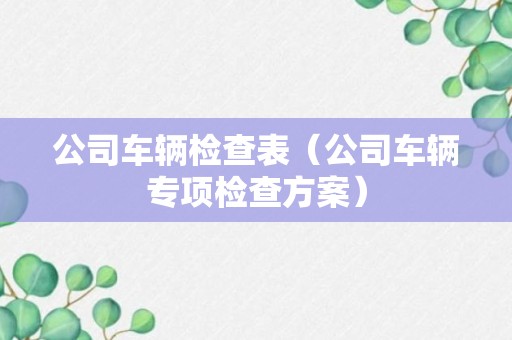 公司车辆检查表（公司车辆专项检查方案）