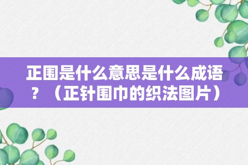 正围是什么意思是什么成语？（正针围巾的织法图片）