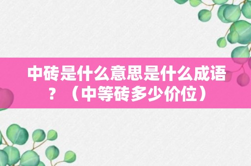 中砖是什么意思是什么成语？（中等砖多少价位）