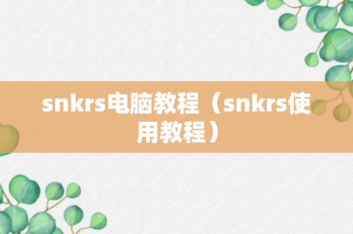 snkrs电脑教程（snkrs使用教程）