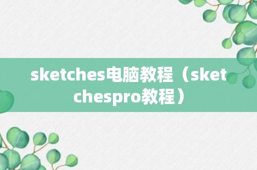 sketches电脑教程（sketchespro教程）