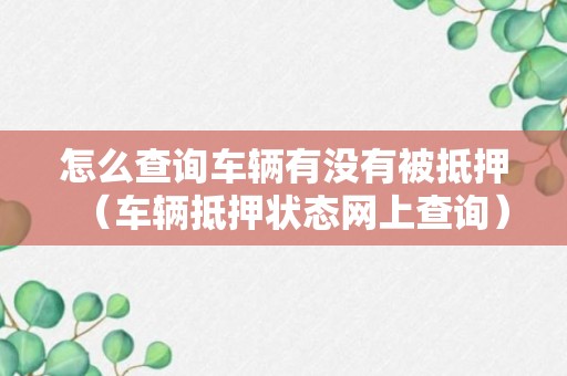 怎么查询车辆有没有被抵押（车辆抵押状态网上查询）