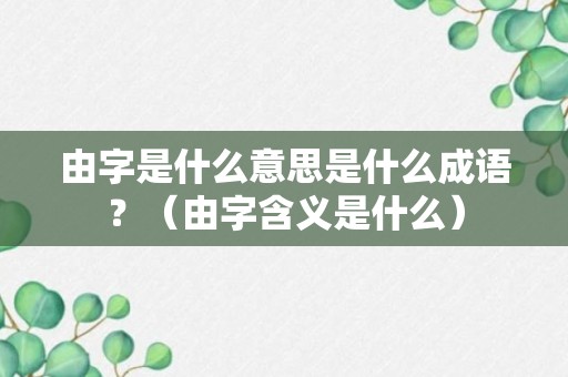 由字是什么意思是什么成语？（由字含义是什么）