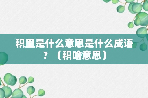 积里是什么意思是什么成语？（积啥意思）