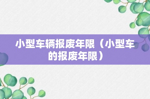 小型车辆报废年限（小型车的报废年限）