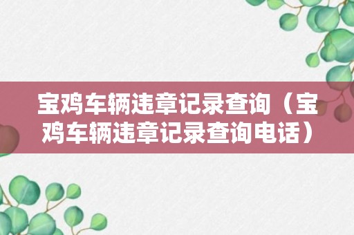 宝鸡车辆违章记录查询（宝鸡车辆违章记录查询电话）