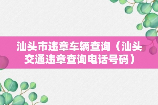 汕头市违章车辆查询（汕头交通违章查询电话号码）