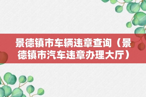 景德镇市车辆违章查询（景德镇市汽车违章办理大厅）