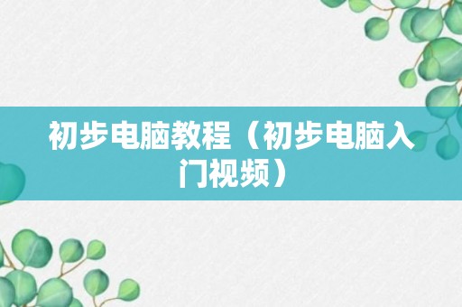 初步电脑教程（初步电脑入门视频）