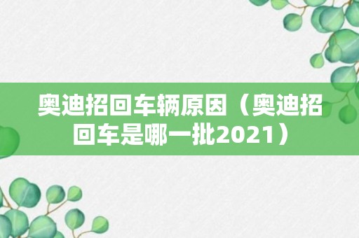 奥迪招回车辆原因（奥迪招回车是哪一批2021）