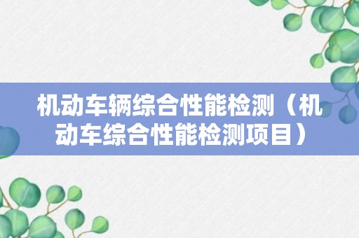 机动车辆综合性能检测（机动车综合性能检测项目）