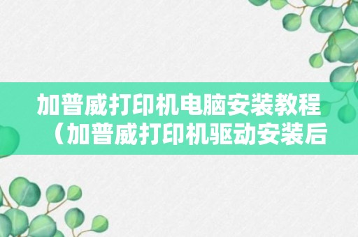 加普威打印机电脑安装教程（加普威打印机驱动安装后没反应）