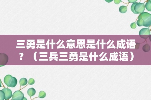 三勇是什么意思是什么成语？（三兵三勇是什么成语）