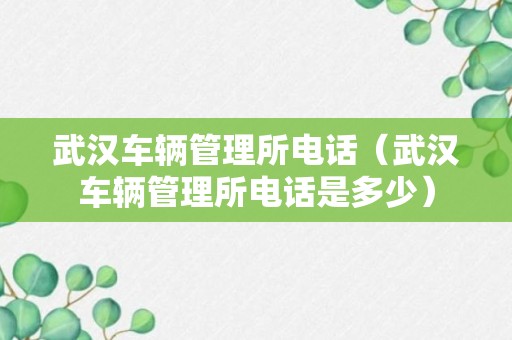 武汉车辆管理所电话（武汉车辆管理所电话是多少）