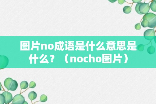 图片no成语是什么意思是什么？（nocho图片）