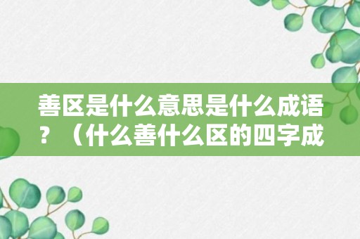 善区是什么意思是什么成语？（什么善什么区的四字成语）