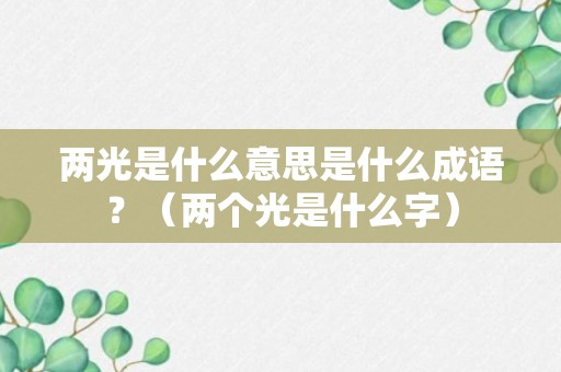 两光是什么意思是什么成语？（两个光是什么字）