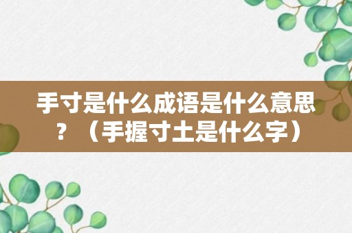 手寸是什么成语是什么意思？（手握寸土是什么字）